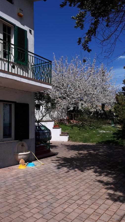 Il Ciliegio Del Pellegrino Apartamento Gubbio Exterior foto